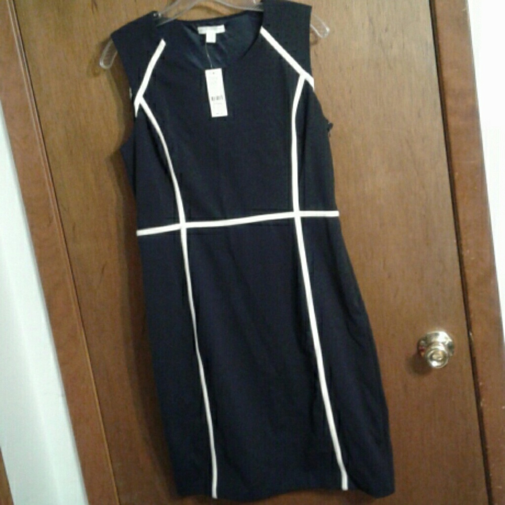 New York & Company Navy & White Dress Size M